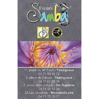 SAMBA FLEURS